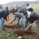 Villagers try to plant trees near Jaloud