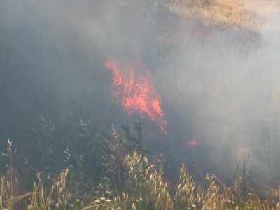 Israeli settlers suspected of starting a fire on Palestinian land near Hebron.
