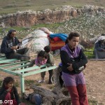 Summary of nine days of demolitions and displacement in Al Maleh, Jordan Valley