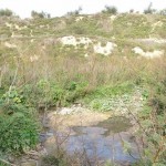 Flooded Palestinian agricultural land