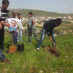 Tree planting with Rachel Corrie posters in Asira al Qibliya