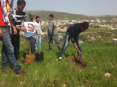 Tree planting with Rachel Corrie posters in Asira al Qibliya