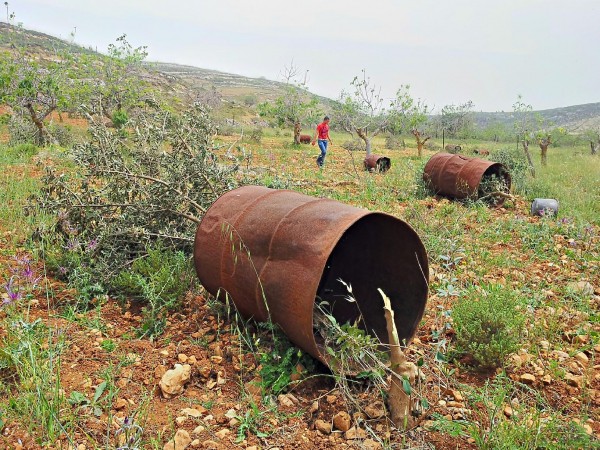 Trees destroyed by settlers on 2nd May 2013