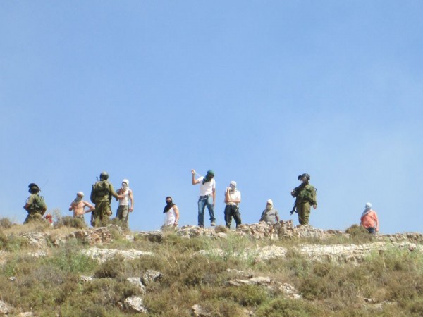 Settlers from Yitzhar throwing rocks at villagers from Asira while Israeli army looks on
