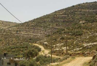 Abad and Fouzi's land on the mountainside by their houses (photo: ISM)