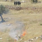Tear gas canisters set ground alight