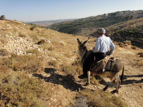 Bet Ayin settlement visible on the hill (Photo by: ISM)