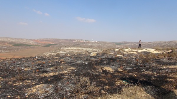 More burnt land, on the back Esh Kodesh settlement (Photo by ISM)