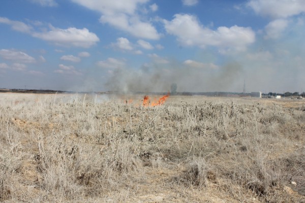 A field burns after a tear gas canister fired by Israeli forces ignites it. (Photo by Joe Catron)