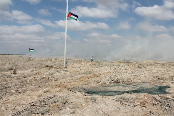 Two demonstrators stand in a field ignited by tear gas canisters fired by Israeli forces. (Photo by Joe Catron)