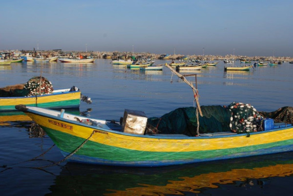 Small fishing boats, or hasakas, moored in the Gaza seaport. (Photo by Charlie Andreasson)