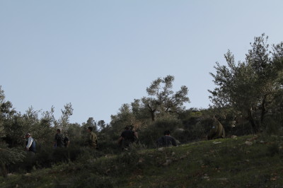 Israeli forces and settlers in Talfeet. 