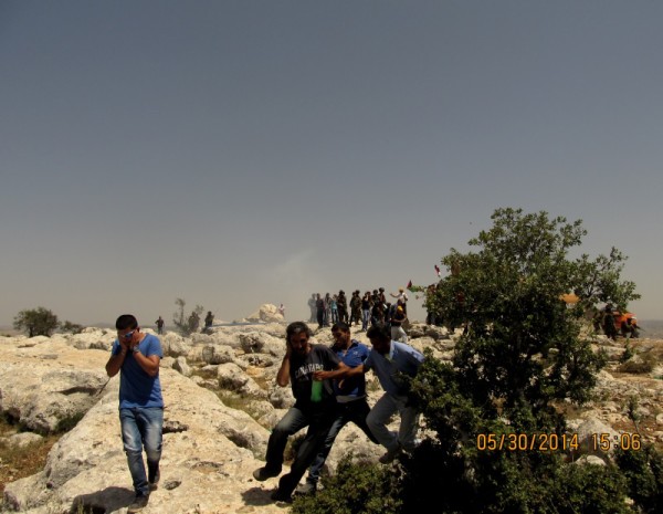 Israeli army attacking unarmed civilians with sound grenades and tear gas (photo by International Women's Peace Service).
