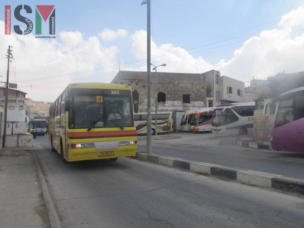 Many tour buses lined up filled with Zionist tourists