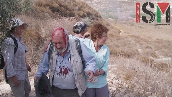 International human rights observer David Amos attacked by settlers