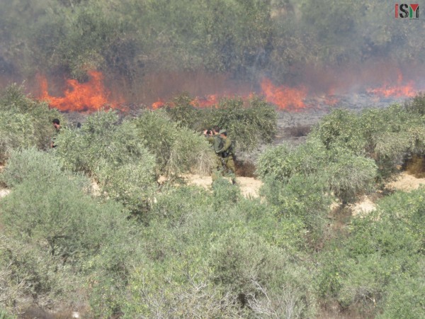 Israeli forces photograph fires