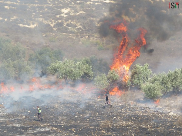 Palestinian civil workers attempt to put out fires while fire truck prohibited entry
