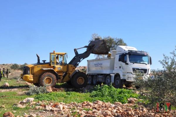 Israeli forces uprooted trees with a bulldozer