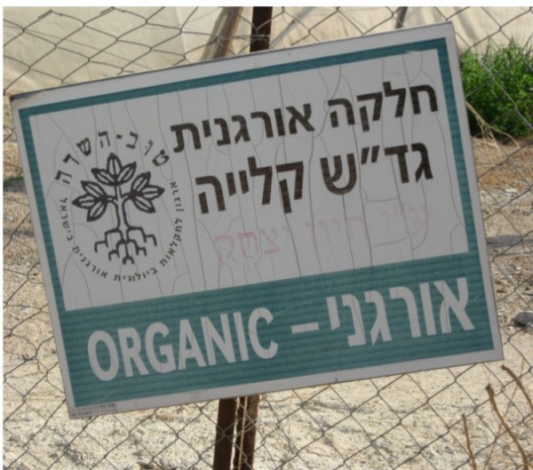 Much Jordan Valley produce is marketed as organic but is certainly not grown fairly 