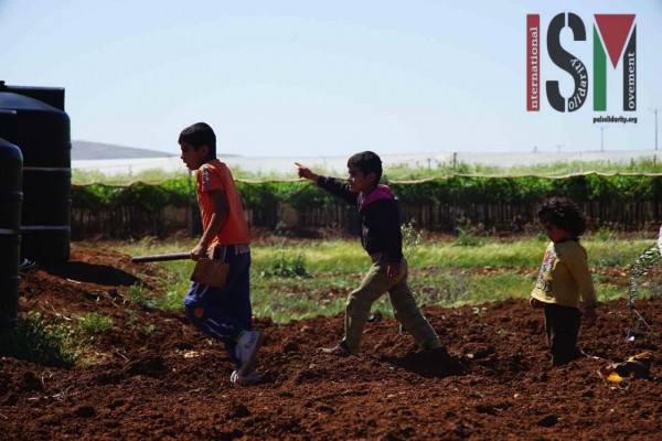 Young children playing whilst helping in the planting of the olive trees