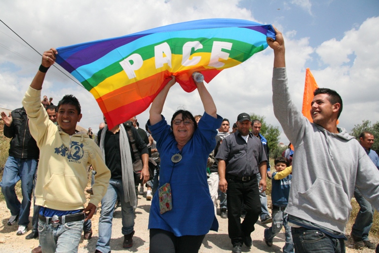 Louise Morgantini at the 2010 Bilin COnference on Nonviolent Resistance