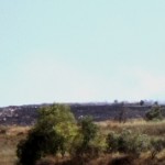 Settlers set Burin farmland on fire.