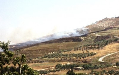 Settlers set Burin farmland ablaze.