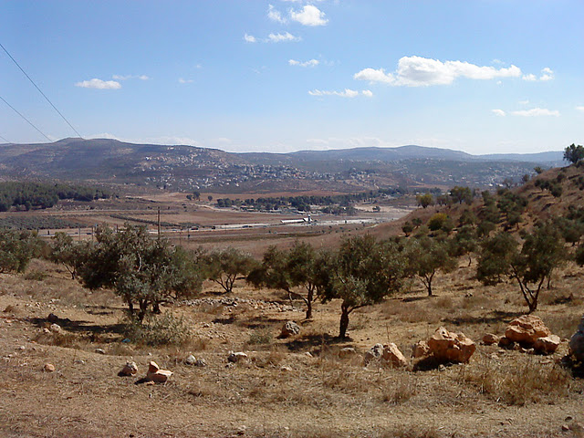 While village attended funeral, Zionists stole