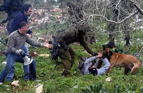 When teargas and rubber bullets are not enough: Israeli soldiers release the hounds on unarmed Palestinian protesters