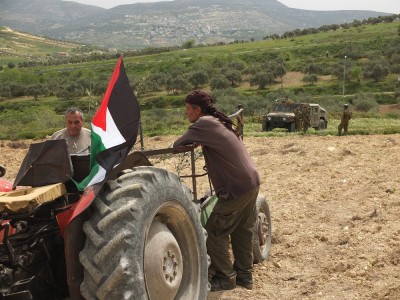 Farmers watched by Israeli Occupation Forces