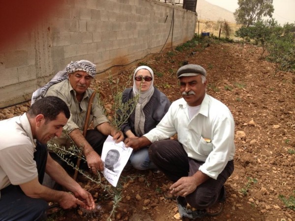 Villagers from Aruf planting olive trees on their land (Photo by ISM)