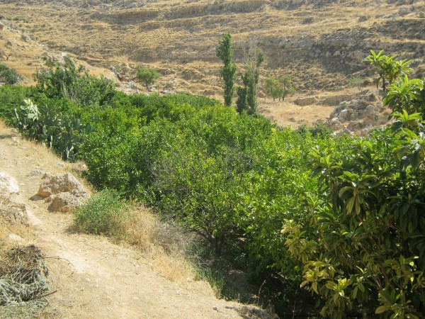 Ad Dawa's valley (Photo by Ad Dawa municipality)