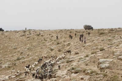 Israeli forces chasing away Palestinian shepherds from the hilltop (Photo by Operation Dove)