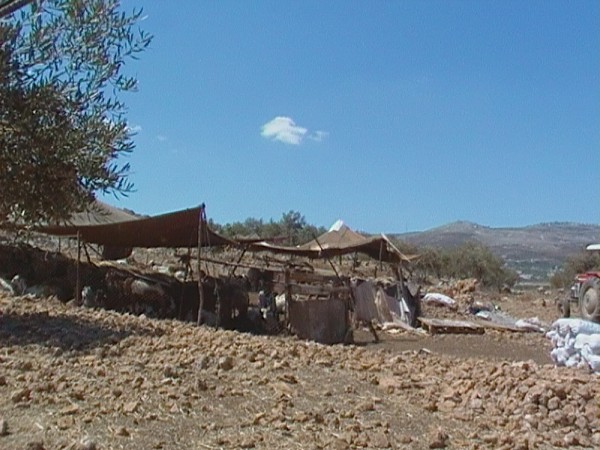Bedouin camp near Hawara