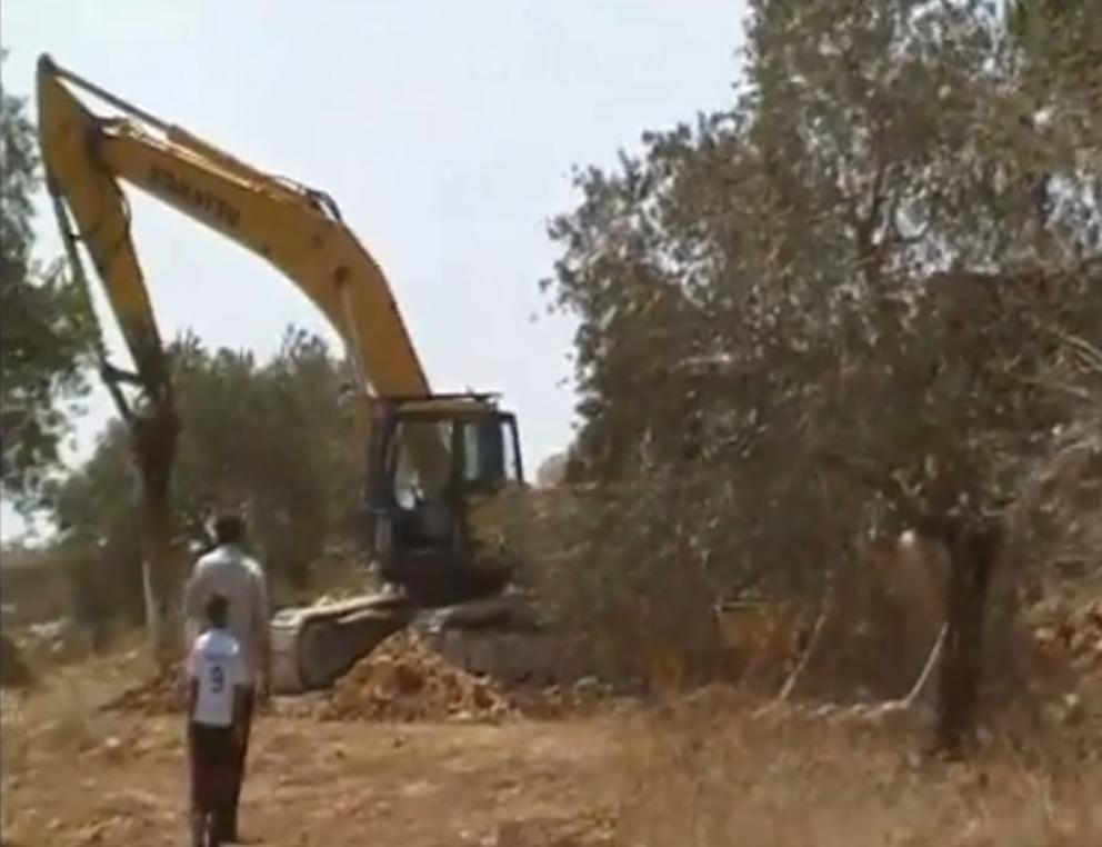 Israel starts illegal construction, destroying field of olive trees on private Palestinian land near village of Immatin