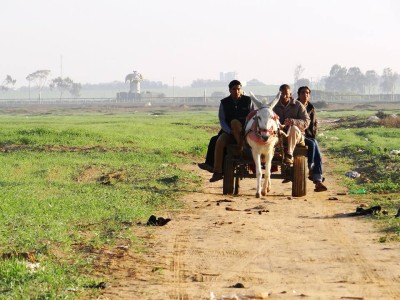 In the besieged Gaza Strip, Israeli forces' gunfire blocks Palestinian farmland