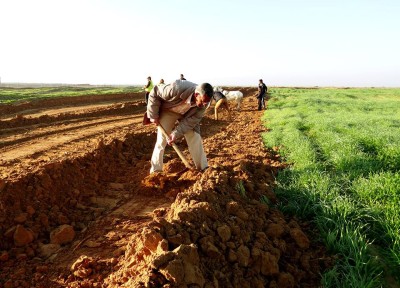 In the besieged Gaza Strip, Israeli forces' gunfire blocks Palestinian farmland