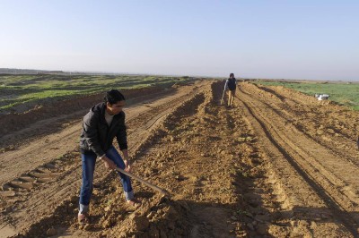 In the besieged Gaza Strip, Israeli forces' gunfire blocks Palestinian farmland