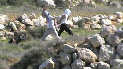 Settlers beating Israeli Activist (Photo by Operation Dove)