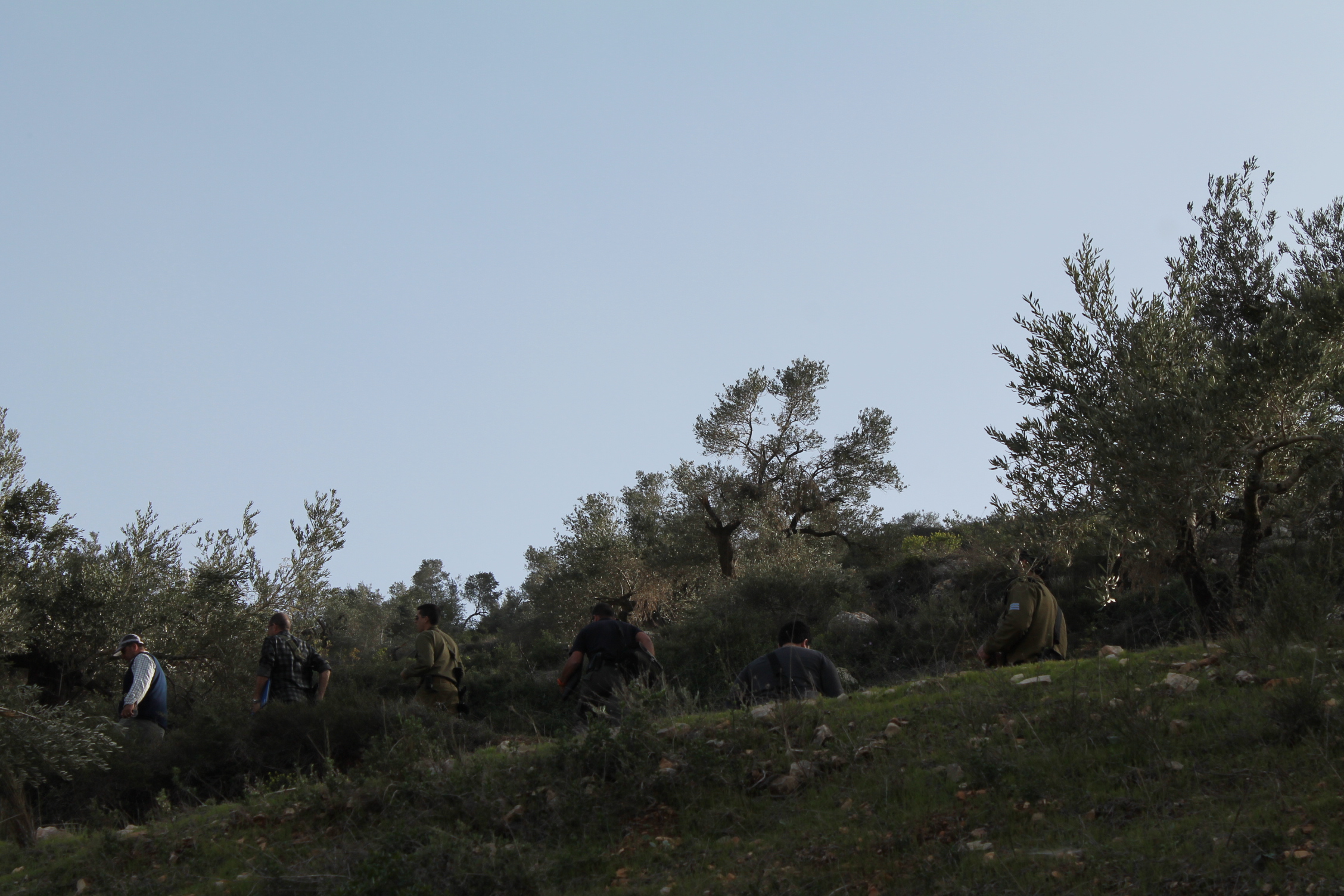 Israeli forces and settlers in Talfeet.