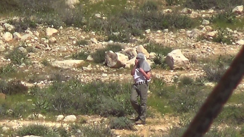 Settlers from Havat Ma’on attacked Palestinian shepherds in two different places at the same time, in the South Hebron Hills