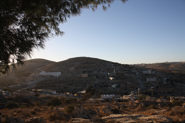 Settlers from Mitzpe Yair continue to attack Palestinian shepherds grazing on Palestinian owned land, even during Purim