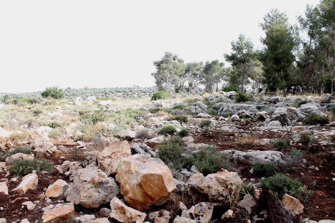 Almost three out of four houses in Izbat at Tabib are at risk of demolition