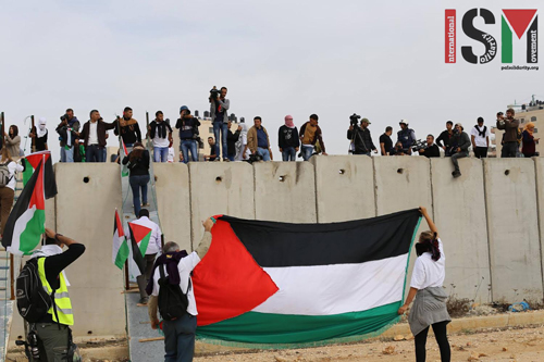 VIDEO: Palestinian and international activists cross makeshift bridges over the separation wall