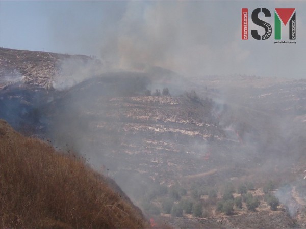 Fires rage across Burin valley