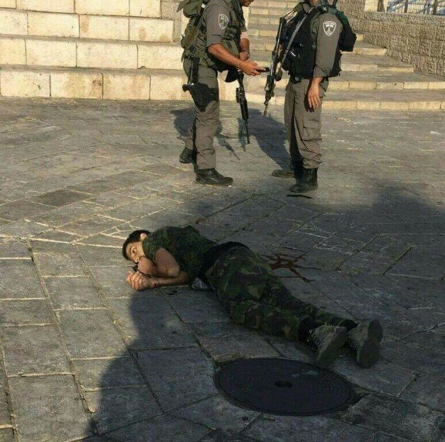 31 martyrs in 14 days: 20 year old murdered today in Jerusalem