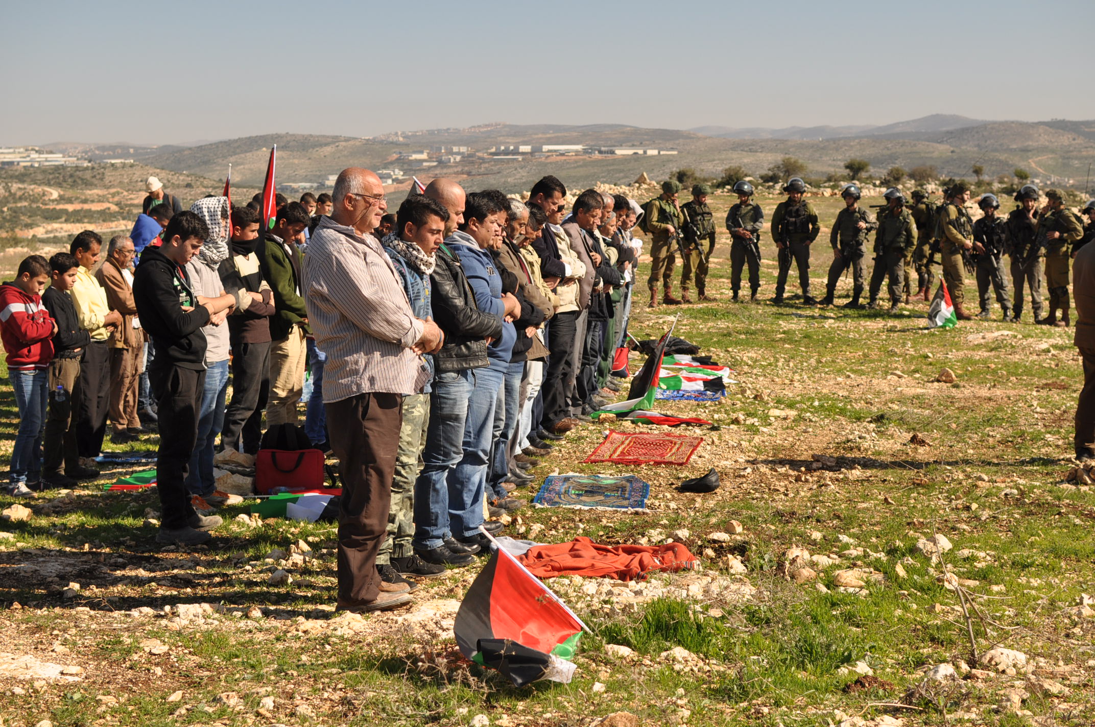 Near Salfit, Palestinians try to save the last hill that is not yet occupied with a settlement