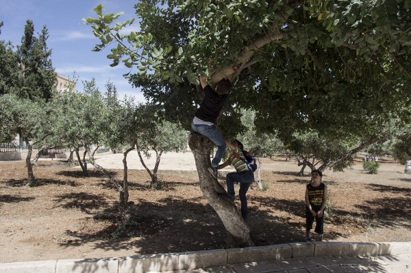 nspite of all the problems they face, children can play peacefully in the beautiful gardens of the Noble Sanctuary.