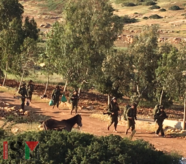 IOF Military Training Exercises in the Jordan Valley