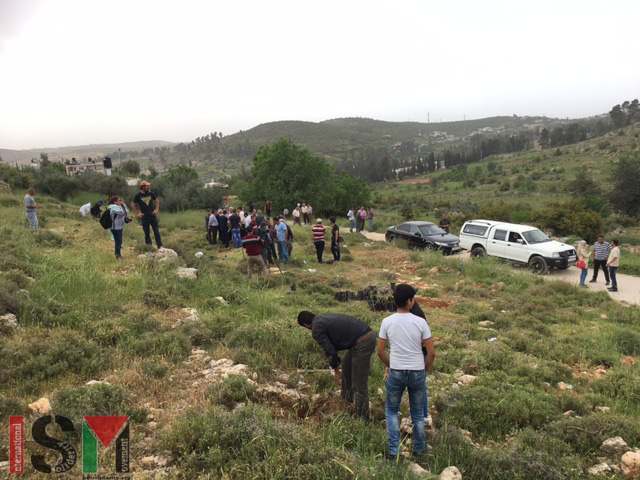 Tree Planting and Protest in Beit al-Baraka